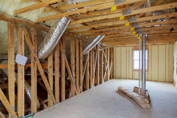 Best Insulation Repair Services  in Las Lomas, TX