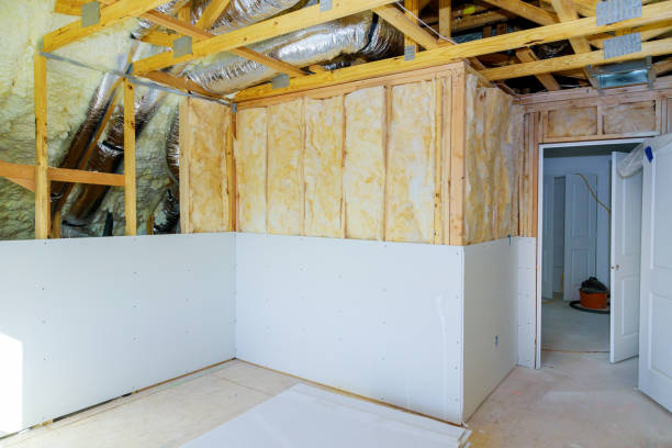 Best Soundproof Insulation Installation  in Las Lomas, TX