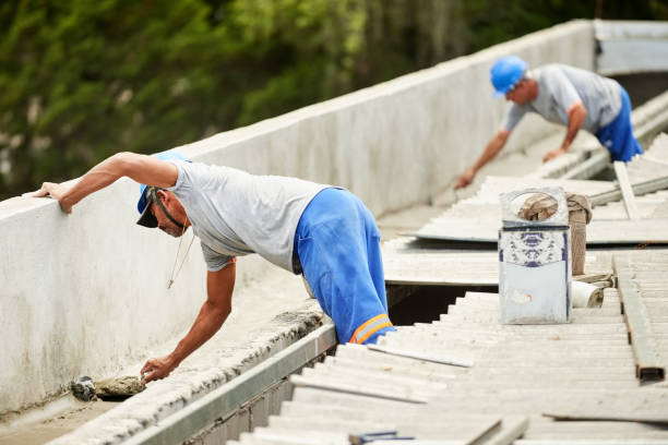 Best Insulation Replacement Services  in Las Lomas, TX