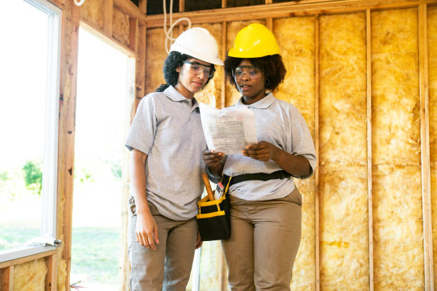 Best Affordable Insulation Services  in Las Lomas, TX