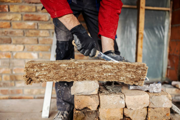 Best Spray Foam Insulation  in Las Lomas, TX