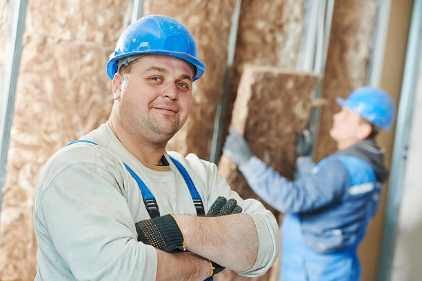 Best Insulation Inspection Services  in Las Lomas, TX