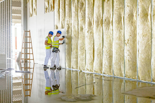 Best Insulation for New Construction  in Las Lomas, TX